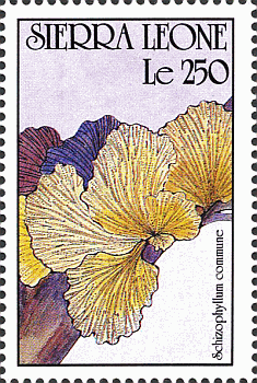 Briefmarke