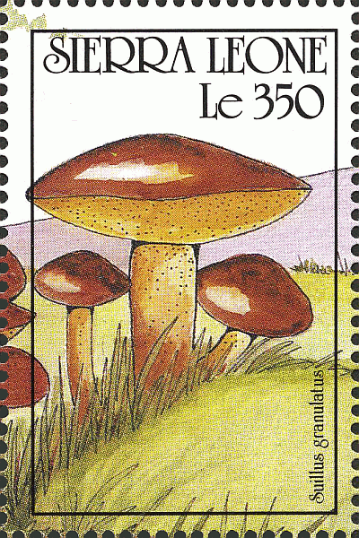 Briefmarke