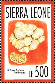 Briefmarke