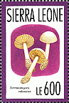 Briefmarke