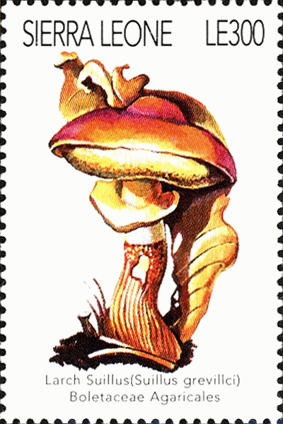 Briefmarke