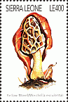 Briefmarke