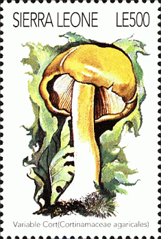 Briefmarke