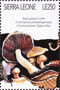 Briefmarke
