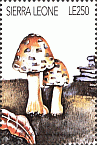 Briefmarke