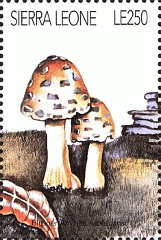 Briefmarke