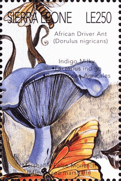 Briefmarke