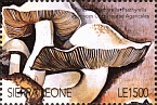 Briefmarke