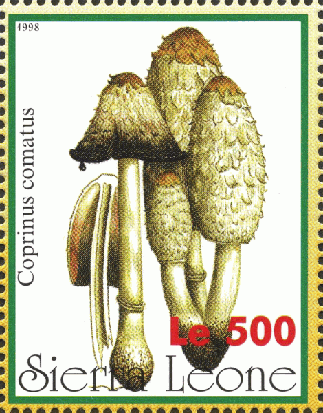 Briefmarke