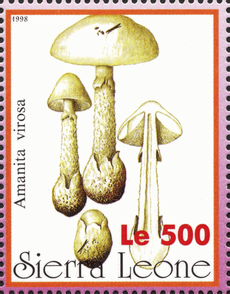 Briefmarke