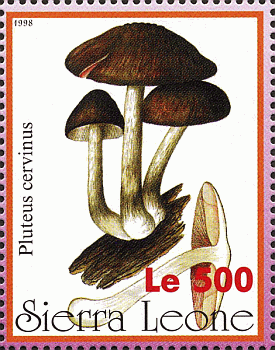 Briefmarke