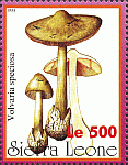 Briefmarke