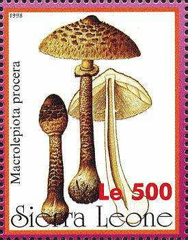 Briefmarke