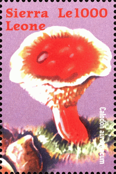 Briefmarke