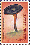 Briefmarke