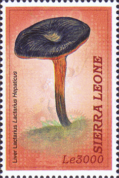 Briefmarke