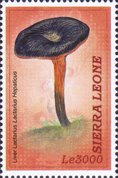 Briefmarke