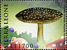 Briefmarke