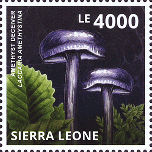 Briefmarke
