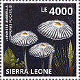 Briefmarke