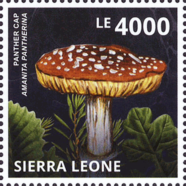 Briefmarke