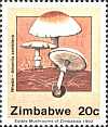 Briefmarke