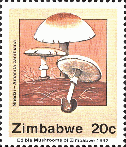 Briefmarke