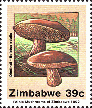 Briefmarke