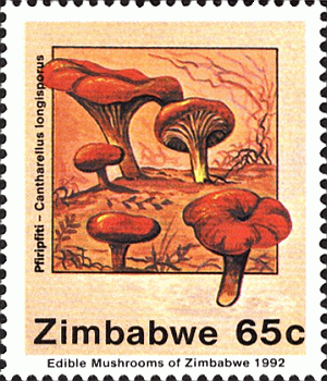 Briefmarke