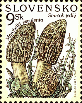 Briefmarke