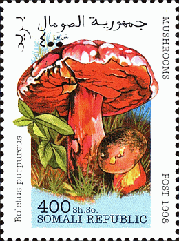Briefmarke