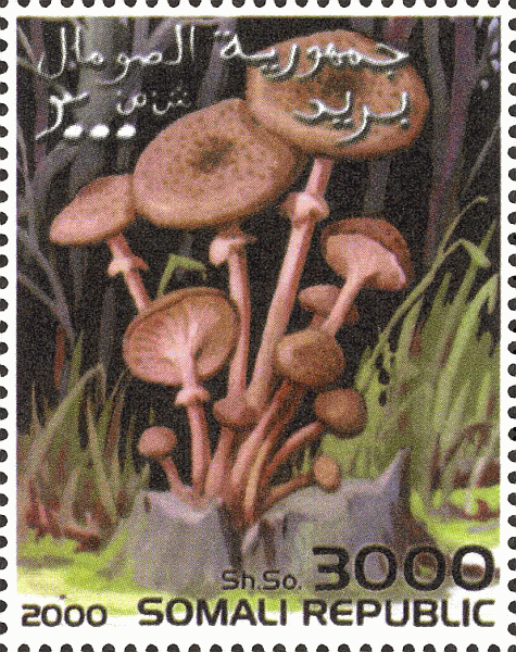 Briefmarke