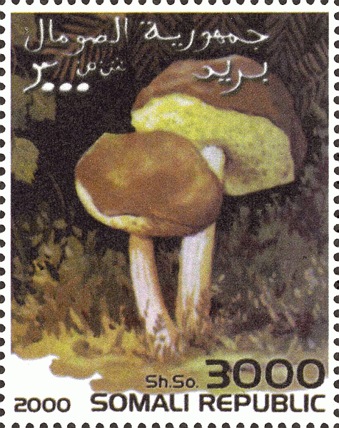 Briefmarke