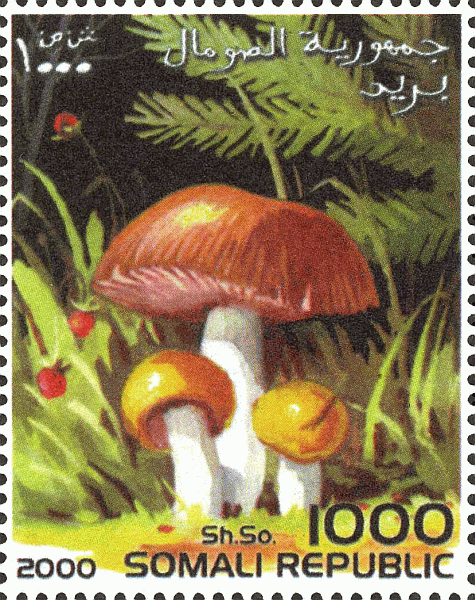 Briefmarke