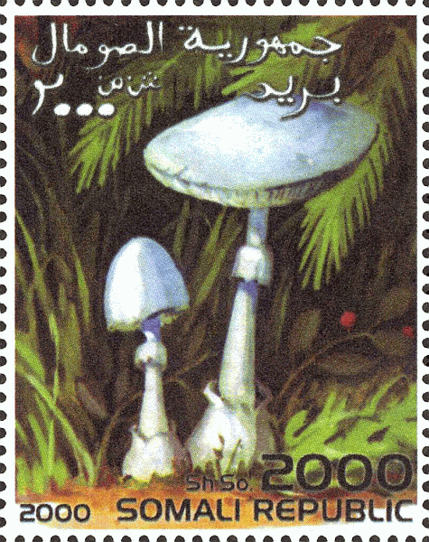 Briefmarke