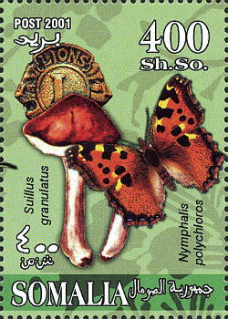 Briefmarke