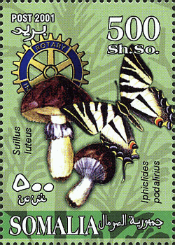 Briefmarke