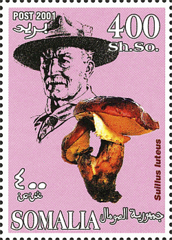 Briefmarke