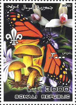 Briefmarke