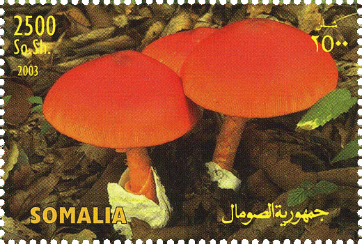 Briefmarke