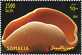 Briefmarke