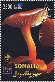 Briefmarke