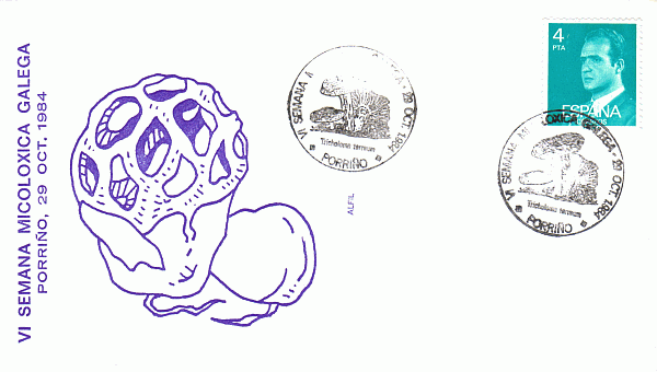Sonderbriefumschlag