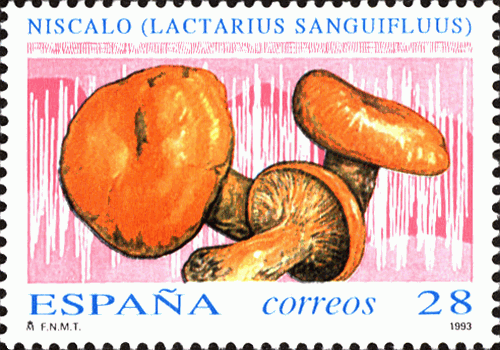 Briefmarke