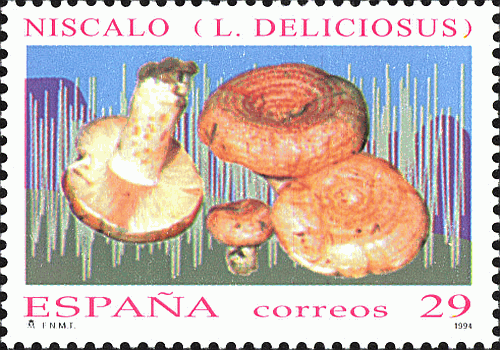 Briefmarke