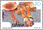 Briefmarke