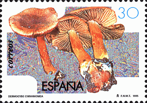 Briefmarke