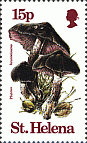Briefmarke