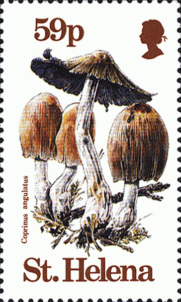 Briefmarke