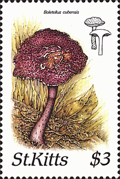 Briefmarke